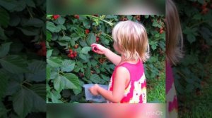 Автоматизация звука [Р] в чистоговорках