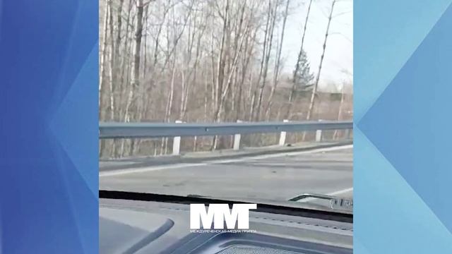 ДТП 29 октября смотреть онлайн