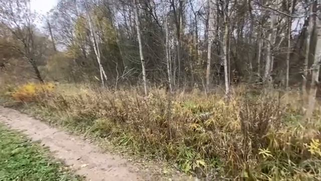 Участок 5 соток Старотеряево смотреть онлайн