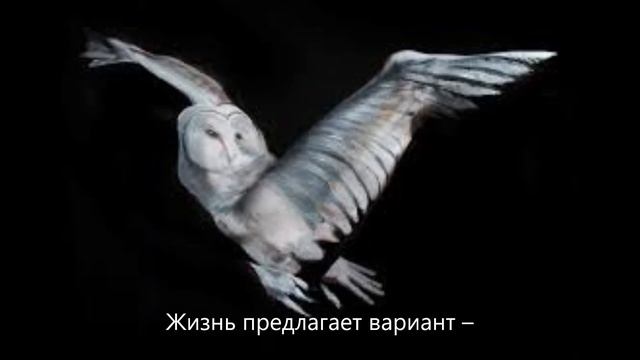 Наверно ты простил меня. Автор читаете стихи на фоне картин боди-арт Гезине Марведель смотреть онлайн