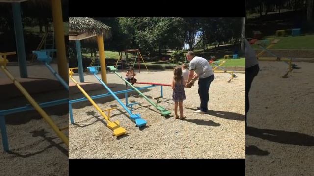 Доминикана. Зоопарк. Фламинго, крокодилы, зебры, попугаи, носороги. Dominican Republic, Zoo, animal смотреть онлайн