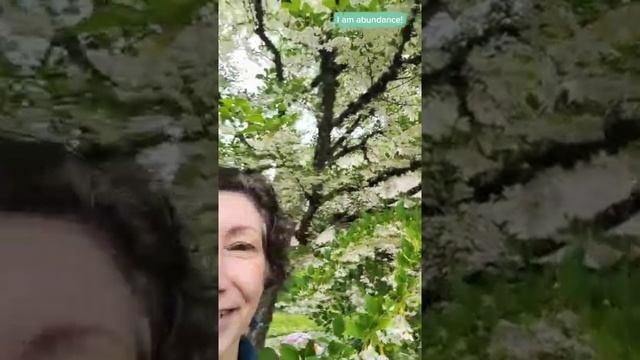 How to Up Level Your Manifesting Game смотреть онлайн