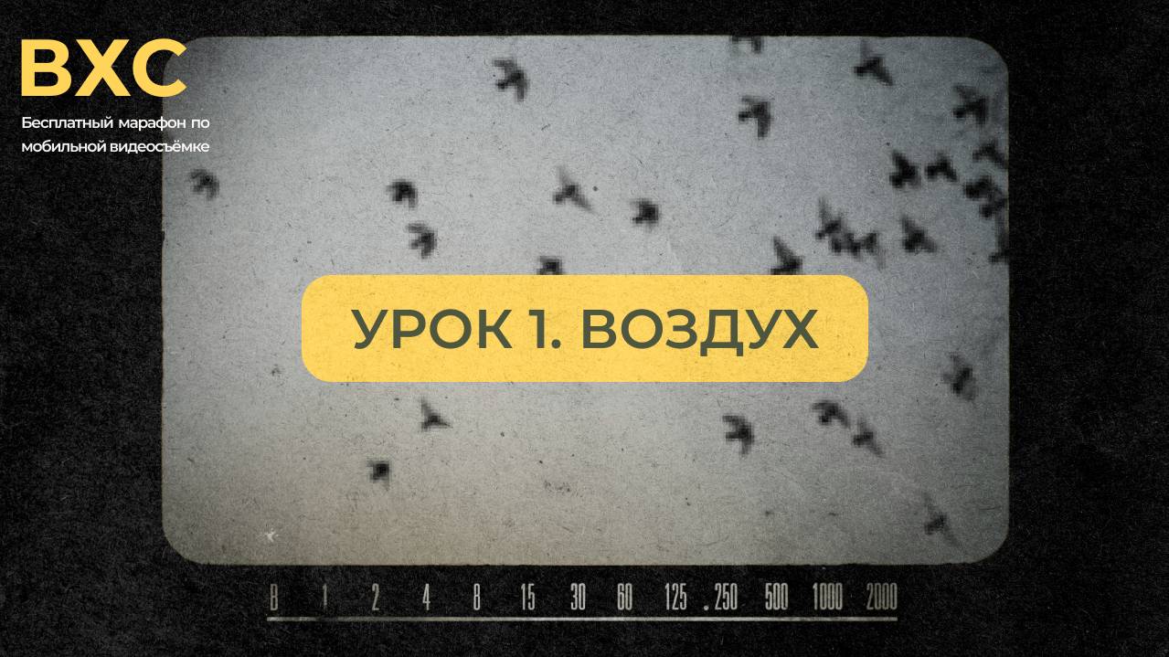 ПЕРВЫЙ БЕСПЛАТНЫЙ УРОК ПО МОБИЛЬНОМУ ВИДЕО смотреть онлайн