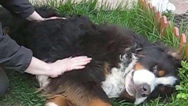 MVI 3820 смотреть онлайн