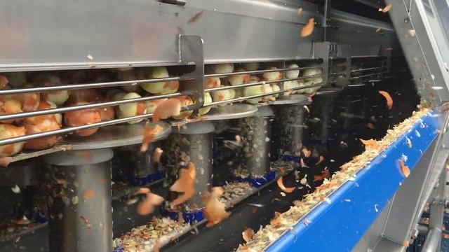 Механизированная очистка лука репчатого мелкого калибра смотреть онлайн