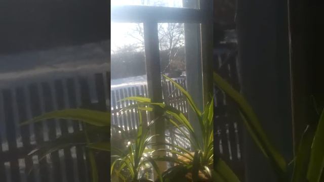 Алкаши заподной Украины смотреть онлайн