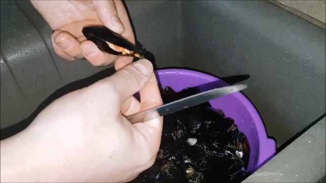 COME PULIRE LE COZZE VELOCEMENTE | FoodVlogger смотреть онлайн
