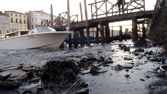 В Венеции пересохли каналы. Что рабочие обнаружили под водой? смотреть онлайн