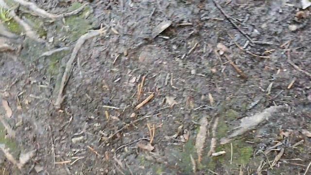 OLMIO X05 crush test / краш-тест смотреть онлайн