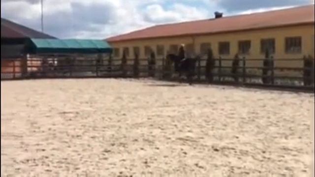 Canaletto смотреть онлайн