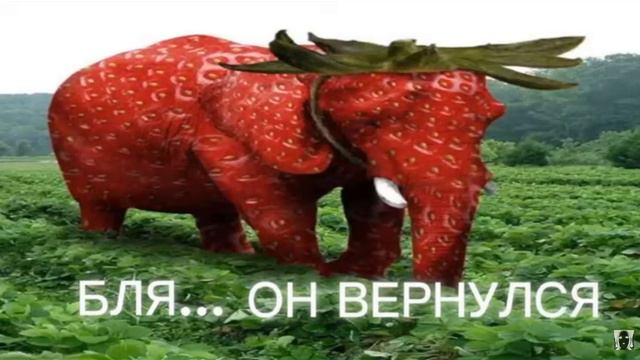 КЛУБНИЧНЫЙ СЛОН... смотреть онлайн