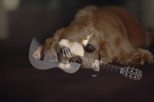 ТАРХ - Я скучаю очень