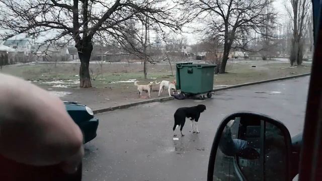 ОТПУГИВАТЕЛЬ СОБАК (испытание) смотреть онлайн