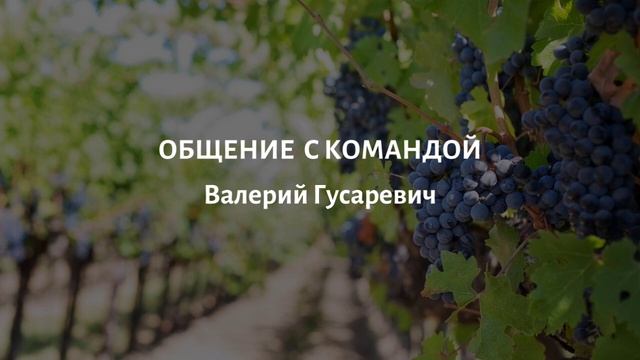Валерий Гусаревич, Zoom-встреча с командой 19.11.2022 смотреть онлайн