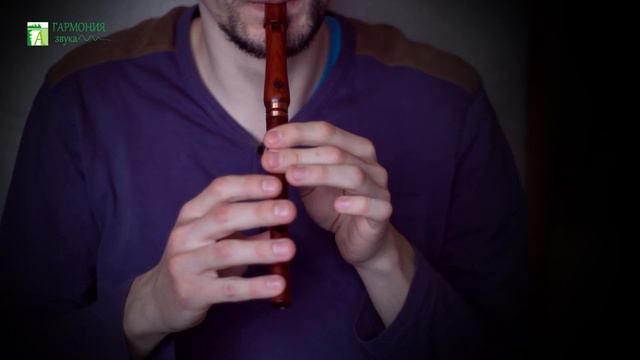 Foggy Dew - ирландская мелодия на вистле в Ми смотреть онлайн