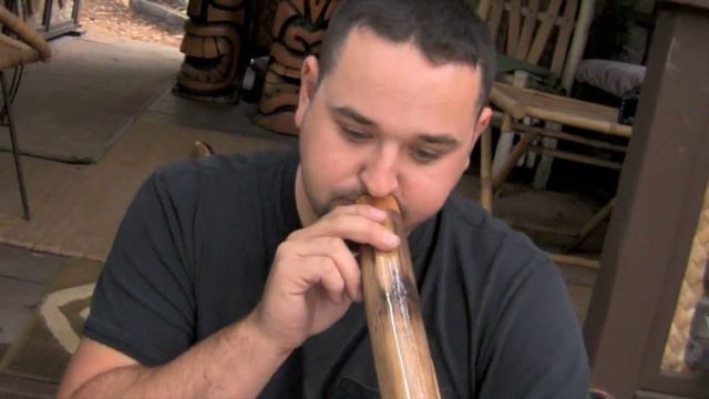 Agave Didgeridoo #BE254 by Brad Evans смотреть онлайн