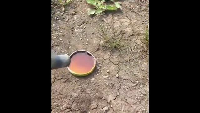 Печное топливо для сушки зерна на зерносушилки ООО Андалус смотреть онлайн