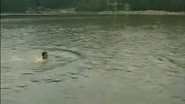 Безопасность на воде. Что делать, если...? смотреть онлайн