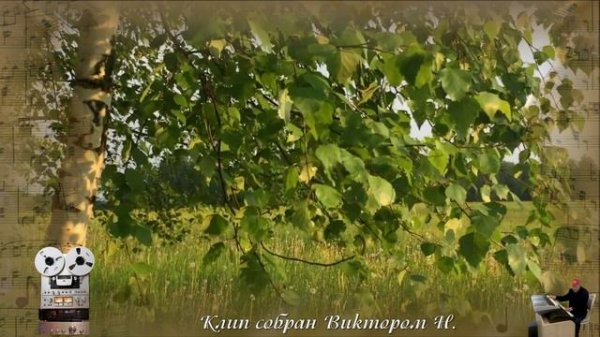 «Уголок России»
 ВИА "Песняры"