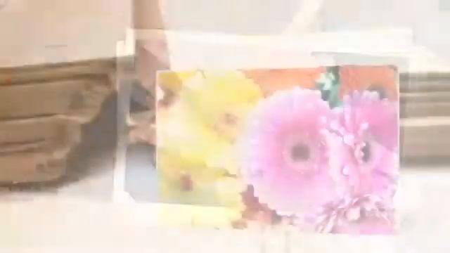 Цветы Герберы (Gerbera flower) смотреть онлайн