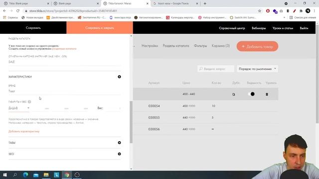 Настройка каталога товаров Тильды обзор, интернет магазин Tilda смотреть онлайн