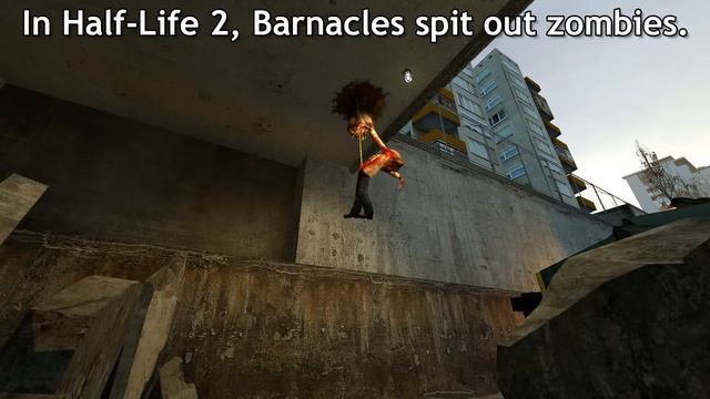 Half-Life series - Barnacle Eating Behavior Overview смотреть онлайн