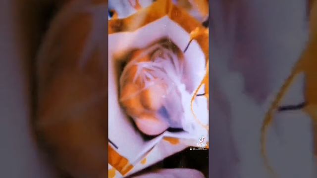 Четвёртая посылка в армию ❤️новогодний сюрприз для любимого ?? смотреть онлайн