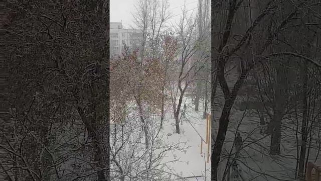 Снег-снежок, белая метелица... #снег #снегопад #такая_весна #Самара #история_маленькой_семьи смотреть онлайн