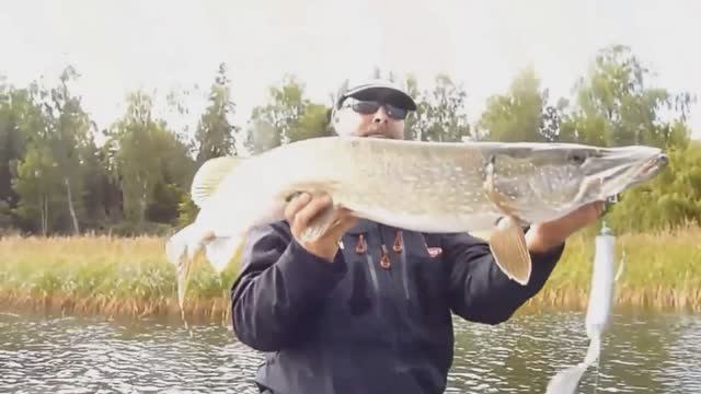 Big pike and New experimental tails Svartzonker смотреть онлайн