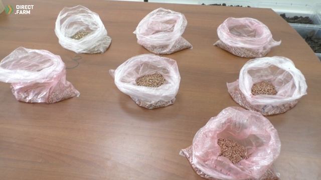 Лабораторный эксперимент от Директ Фарм смотреть онлайн