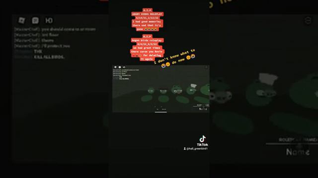 R I P angry birds roleplay 😭😭😭 смотреть онлайн