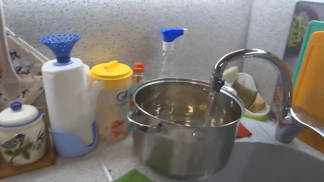 Готовлю лайкам/Перебираю опята/ смотреть онлайн