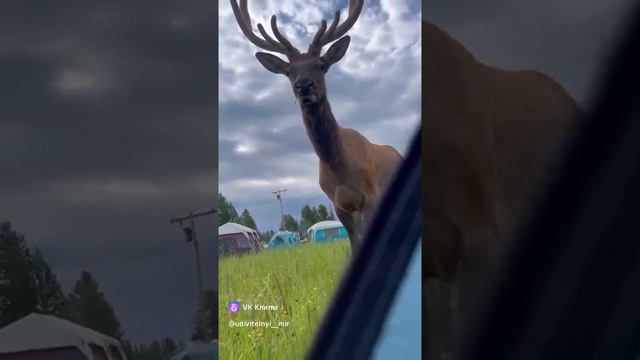 Rutube_account_14304907