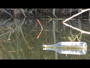 Рыбалка на поплавок  Ловля карася и рыбалка на хищника. My fishing