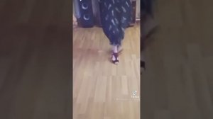 цыганские танцы