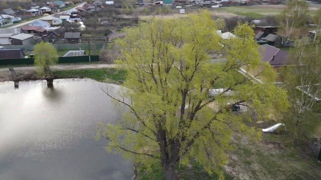 Чистка деревенского пруда. Что из этого вышло? смотреть онлайн