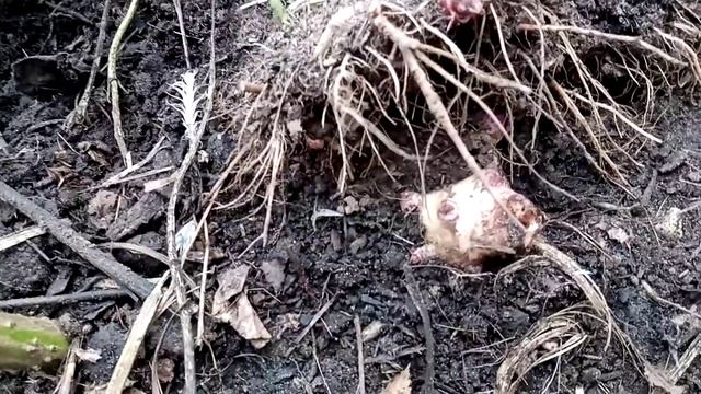 Вы мне рады?