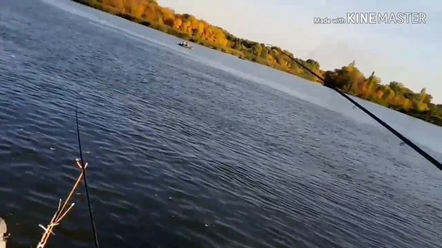 Рыбалочка на Аксайских плитах 14.10.18(Семейный подряд?) смотреть онлайн