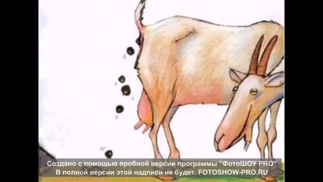 Какали козы!!! смотреть онлайн