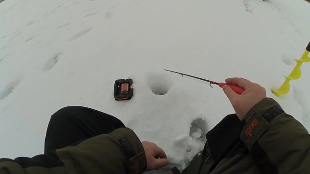 ПРОТЕСТИРОВАЛ 