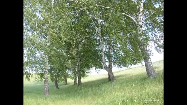 История заселения земли Ченчерской смотреть онлайн