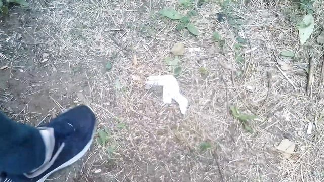 Лучшая Реклама Тампонов №2 смотреть онлайн