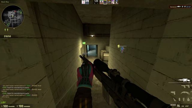 CS:GO | RAGE Hacking - 78 KILLS! (MAIN ACCOUNT) // ROAD TO OVERWATCH BAN... #RAGEHacking смотреть онлайн