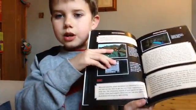 Minecraft book 2 смотреть онлайн