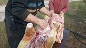 Как режут и разделывают свиней в деревне/ Деревенские будни