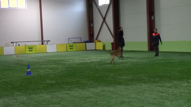 Савельева Ана и Морс Обидиенс-1 Кубок Санкт -Петербурга 11.02.18 смотреть онлайн