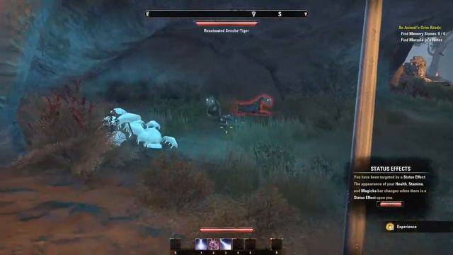 Elder Scrolls Online-A new Start смотреть онлайн