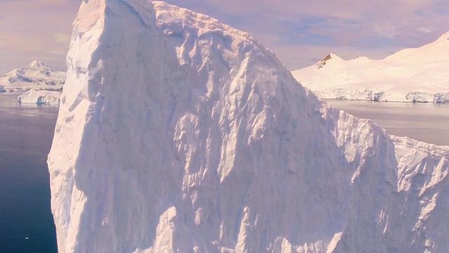 АНТАРКТИКА смотреть онлайн