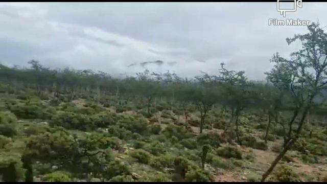 Socotra island جزيرة سقطري смотреть онлайн