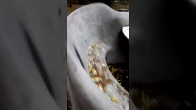 Пейзажная алея как провести досуг 9 смотреть онлайн